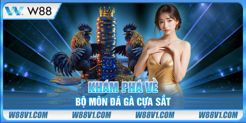 Đá Gà Cựa Sắt Là Gì? Dự Đoán Các Màn Đấu Chiến Kê Nảy Lửa Khám phá về bộ môn đá gà cựa sắt