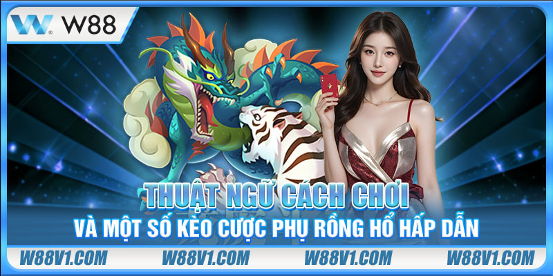 Rồng Hổ Online Là Gì? Một Số Mẹo Chơi Hiệu Quả Nhất Thuật ngữ cách chơi và một số kèo cược phụ Rồng Hổ hấp dẫn